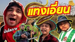 เซียนหรั่ง – วิถีชีวิตแบบมะลายยายอยาก l ตอน แทงเอี่ยน
