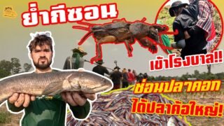 เซียนหรั่ง – วิถีชีวิตแบบมะลายยายอยาก l ตอน ยำกีซอน เข้าโรงบาล ซ่อนปลาคอก ได้ปลาค้อใหญ่