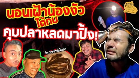 เซียนหรั่ง – วิถีชีวิตแบบมะลายยายอยาก l ตอน นอนเฟ้าน้องงัว ไต้กบ คุบปลาหลดมาปิ้ง