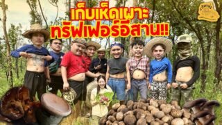 เซียนหรั่ง – วิถีชีวิตแบบมะลายยายอยาก l ตอน เก็บเห็ดเผาะ ทรัฟเฟอร์อีสาน