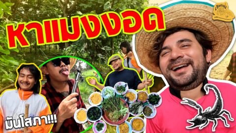 เซียนหรั่ง – วิถีชีวิตแบบมะลายยายอยาก l ตอน หาแมงงอด