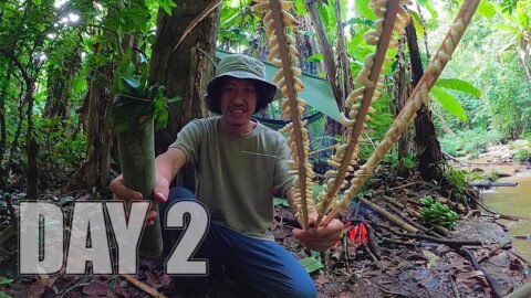 ใช้ชีวิตในป่า 7 วัน 7 คืน Ep.2 ฝนตกหนักจนกินน้ำไม่ได้ ตามหาอาหารในป่ารกกลางเขา … [ โจโฉ ]