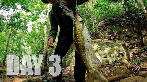 ใช้ชีวิต 7 วัน 7 คืน Ep.3 อาหารป่ามื้อใหญ่ การออกไล่ล่าเนื้อปลาตามน้ำตก…!! [ โจโฉ ]