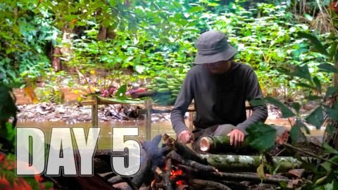 ใช้ชีวิตในป่า 7 วัน 7 คืน Ep.5 ความลำบากลำบนในการพยายามไล่ล่าอาหารจนมืดค่ำ [ โจโฉ ]