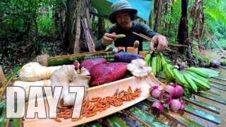 ใช้ชีวิตในป่า 7 วัน 7 คืน Ep.7 อยู่ป่าวันสุดท้าย กินหนอนรถด่วนที่เป็นดักแด้ อาหารป่าหายาก [ โจโฉ ]
