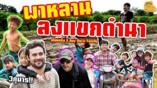 เซียนหรั่ง – วิถีชีวิตแบบมะลายยายอยาก l ตอน พาหลานลงแขกดำนา เซียนหรั่ง X Guy Haru Family