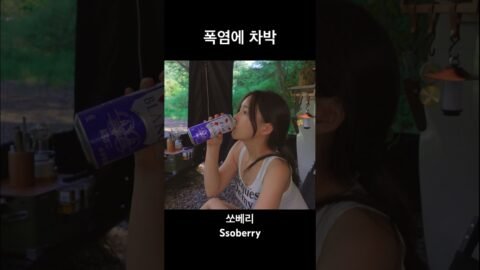 1분만에 나만의 공간 만들기 #캠핑 #camp #차박 #캠핑카