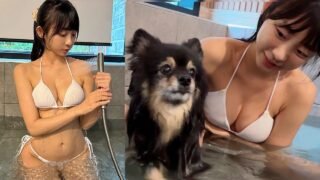 눈나…이거 재미있는거 맞지? 이번년도 마지막 여름 여행ㅣ홍천 애견 동반 풀빌라ㅣ과연 콩이랑 수영을 할 수 있을까?