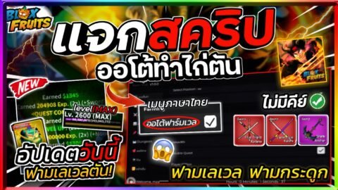 แจกสคริป Blox Fruits มือถือล่าสุด เมนูภาษาไทย ฟาร์มเวล 1-2600 ฟามไวมาก [ไม่มีคีย์]🔥✅