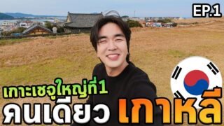เที่ยวเกาหลีโนแพลนเช่ารถขับเกาะเชจูครั้งแรก!!! หนาวมาก…