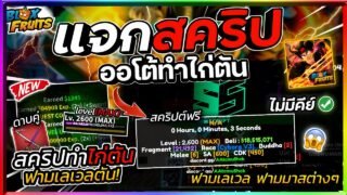แจกสคริป Blox Fruits มือถือล่าสุด ทำไก่ตัน ฟามมาส ทำดาบคู่ ฟามเลเวลตัน! Kaitun [ไม่มีคีย์]🎄
