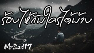 ร้องไห้กับใครได้บ้าง – MrSad17 (Official Audio)