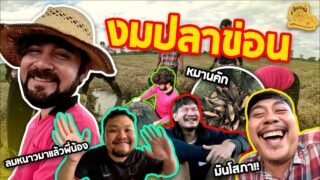 เซียนหรั่ง – วิถีชีวิตแบบมะลายยายอยาก l ตอน งมปลาข่อน