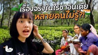 ใช้ชีวิตในไร่ชาแรกของโลก!? 20,000 บาท!!!