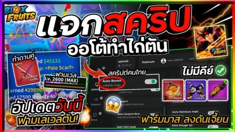 แจกสคริป Blox Fruits มือถือล่าสุด ค่ายคนไทย ออโต้ฟาร์มต่างๆ ฟาร์มเวล ฟาร์มโบน [ไม่มีคีย์]🎄