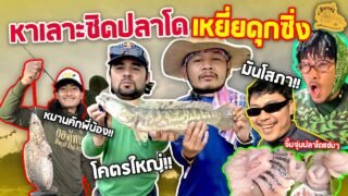 เซียนหรั่ง – วิถีชีวิตแบบมะลายยายอยาก l ตอน หาเลาะซิดปลาโด เหยี่ยดุกซิ่ง