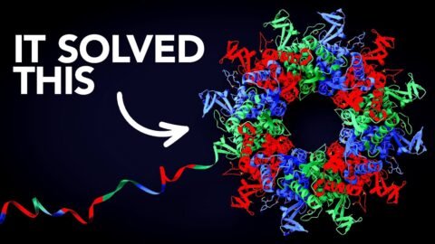 AlphaFold – The Most Useful Thing AI Has Ever Done