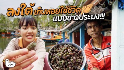ออกเรือหาหอย ทำอาหารใต้กินเอง | ทุ่งคา-สวี ชุมพร