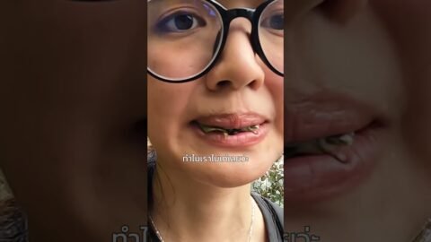 นั่นสิทำไมไม่เท่เหมือนคนอื่นเขา 🤣 #pigkaploy