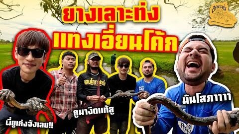 เซียนหรั่ง – วิถีชีวิตแบบมะลายยายอยาก l ตอน ยางเลาะท่ง แทงเอี่ยนโค้ก