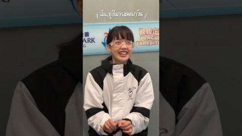 บิน3ชั่วโมงไปเล่นกับเพนกวิน90ตัว!