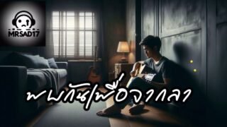พบกันเพื่อจากลา – MrSad17 (Officila Audio)