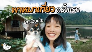 2 วัน 1 คืน เที่ยวนครนายกกับหมาตัวแรก!