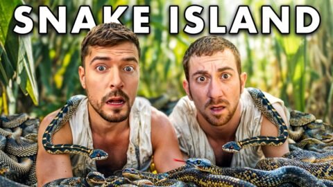 Surviving 24 Hours On Snake Island With MrBeast