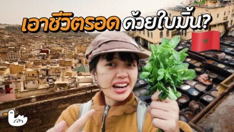 ลุยโรงฟอกหนัง1,000ปี ที่ใหญ่ที่สุดในแอฟริกาเหนือ | เฟส โมร็อคโก