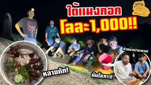 เซียนหรั่ง – วิถีชีวิตแบบมะลายยายอยาก l ตอน ใต้แมงกอก โลละ1,000!!