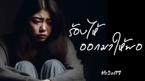 ร้องไห้ออกมาให้พอ – MrSad17 (Official Audio)