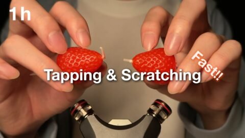 ASMR Brain Tingling Fast Tapping &Scratching | 1 Hour for Sleep (No Talking)