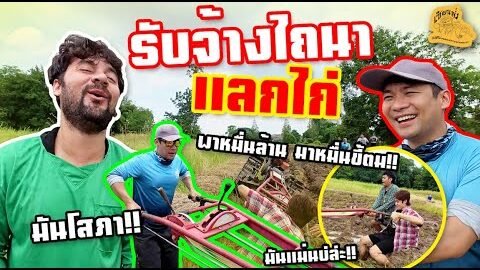 เซียนหรั่ง – วิถีชีวิตแบบมะลายยายอยาก l ตอน รับจ้างไถนาแลกไก่