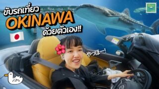 2,000 บาท เช่ารถเปิดประทุนขับเองที่ญี่ปุ่น I โอกินาวะ