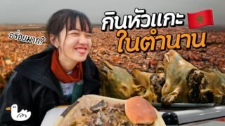 เดินอยู่ดีๆ หมองูก็ชวนให้จับงูเฉย! | มาราแคช โมร็อกโก
