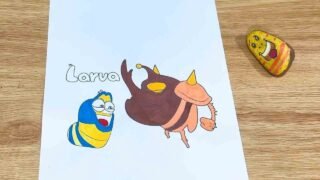 Drawing Parrot And Brown, Blue | LARVA Animation ASMR | LARVA ART