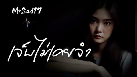เจ็บไม่เคยจำ – MrSad17 (Official Audio)