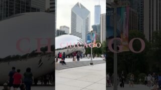 BLACKPINK WORLD TOUR [DEADLINE] IN CHICAGO ✨ #BLACKPINK #WORLDTOUR #DEADLINE #DEADLINE_IN_CHICAGO