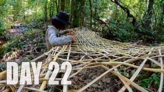 เอาชีวิตรอด DAY 22 มุ่งหน้าสู่ป่าดิบชื้น สร้างที่พักและก่อไฟจากก้อนหิน ….!! [ โจโฉ ]