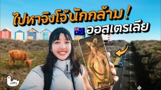 24 ชมแรก ออสเตรเลีย ดินแดนสัตว์ประหลาด!? | เกาะฟิลลิป