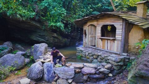 Build a pool under a beautiful waterfall. Search for tracks to hunt wild boar