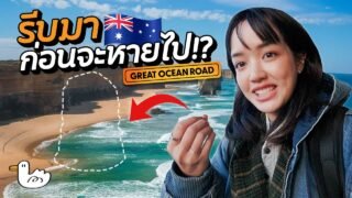 ถนนเลียบชายฝั่งที่สวยที่สุดในออสเตรเลีย! I The Great Ocean Road