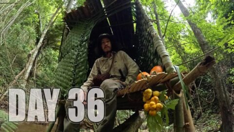 เอาชีวิตรอด DAY 36 เริ่มต้นการเอาชีวิตรอดป่าเบญจพรรณ ..!! [ โจโฉ ]