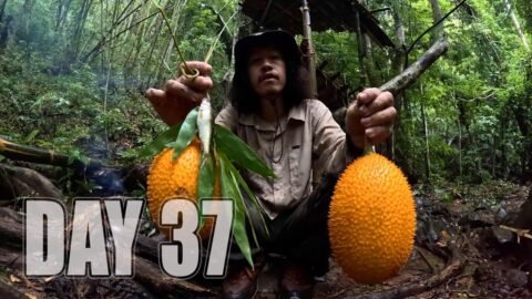 เอาชีวิตรอด DAY 37 ประดิษฐ์เบ็ดตกปลาจากวัสดุธรรมชาติเพื่อหาอาหาร ..!! [ โจโฉ ]