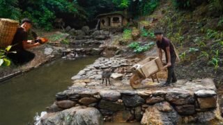 Making a Wheelbarrow to Carry Stones for the House Foundation, Setting Traps for Wild Chickens.
