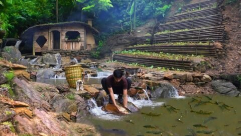 Releasing Fish, Weaving Baskets & Growing Vegetables | Life in a Bushcraft House by the Waterfall