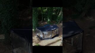숲속의 작은 자동차 집🚙