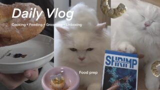Daily life with Chunchun ep.2 🐈Cooking day, Food prep, Iced Latte Cafe and Journaling