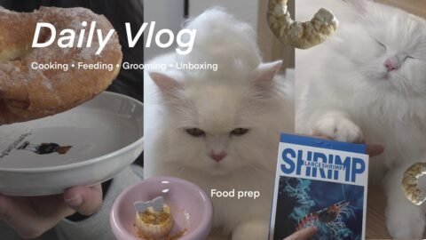Daily life with Chunchun ep.2 🐈Cooking day, Food prep, Iced Latte Cafe and Journaling