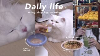 Daily life with Chunchun 🐈 First Vlog: Feeding, Unboxing, Making Matcha & Cooking Spaghetti